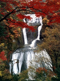 袋田の滝で紅葉が8割ほど進み、見ごろが近づく。永源寺でも紅葉進む（2018年11月5日時点）
