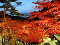 大山寺の写真