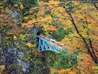 黒部峡谷 欅平・鐘釣エリアで紅葉が見ごろを迎えています。（2018年10月26日時点）