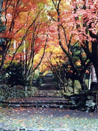 鶏足寺(旧飯福寺)の写真