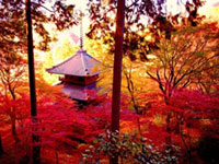 高源寺の写真