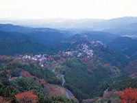 吉野山の写真