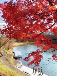 五色沼湖沼群の写真