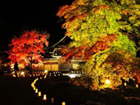 近江随一の美しさ!滋賀県 永源寺の紅葉が見ごろを迎えています（2019年11月21日時点）