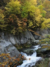 岩手県の紅葉人気ランキング 紅葉情報