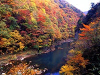 秋田県の紅葉名所 紅葉情報