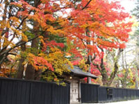 秋田県の紅葉名所 紅葉情報