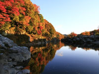 大血川渓谷 金蔵落としの渓流 の紅葉 紅葉情報