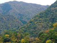 三重県の紅葉名所 紅葉情報