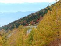富士山スカイライン及び遊歩道（富士山自然休養林）の写真