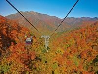 谷川岳・天神平の写真