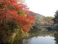 鶴岡八幡宮の紅葉