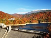 有峰県立自然公園の写真