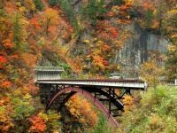 白山白川郷ホワイトロードの写真