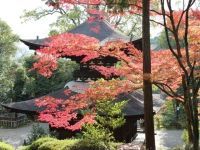 石山寺の紅葉