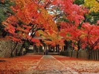 臨済宗永源寺派大本山 永源寺の写真