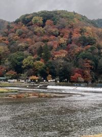 嵐山の紅葉