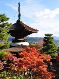 常寂光寺の紅葉