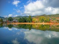 旧嵯峨御所大本山大覚寺の紅葉