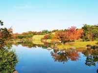 万博記念公園の紅葉