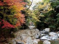 摂津峡公園の紅葉