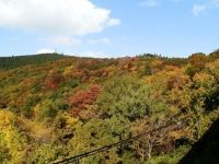 金剛山の紅葉