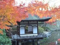 西之丸庭園（紅葉渓庭園）の紅葉