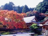 雷山千如寺大悲王院の写真