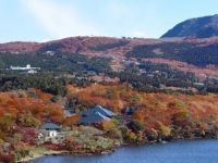 芦ノ湖スカイラインの写真
