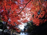 岡崎市東公園の写真