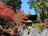石山寺の写真