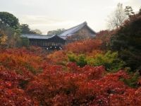 東福寺の写真
