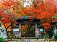 高源寺の写真