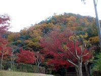 深山峡の写真