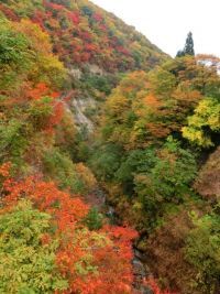 三途川渓谷の写真