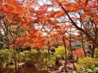 筑波山の写真