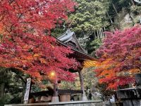 大山寺の写真