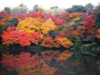 高岡古城公園の写真