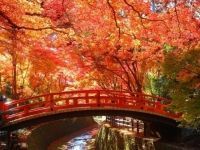 北野天満宮の写真