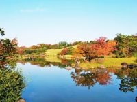 万博記念公園の写真