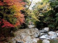 摂津峡公園の写真