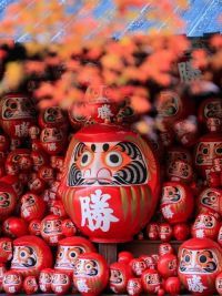 勝尾寺の写真
