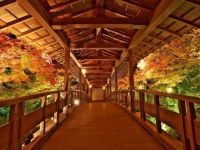 好古園の写真