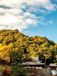 長谷寺の写真