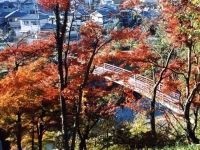 竜田川の写真