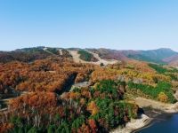 The Autumn Leaves of Ombara Kogen