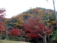 深山峡の写真