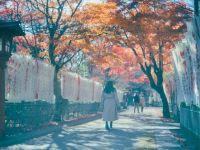 大寧寺の写真