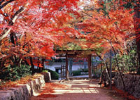 長寿寺の写真