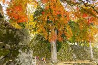 高取城跡の写真